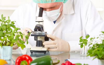 Χημική Ανάλυση και Έλεγχoς Ποιότητας τροφίμων-E-learning