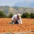 Εσείς που θα κάνετε φέτος την ανάλυση του εδάφους σας;